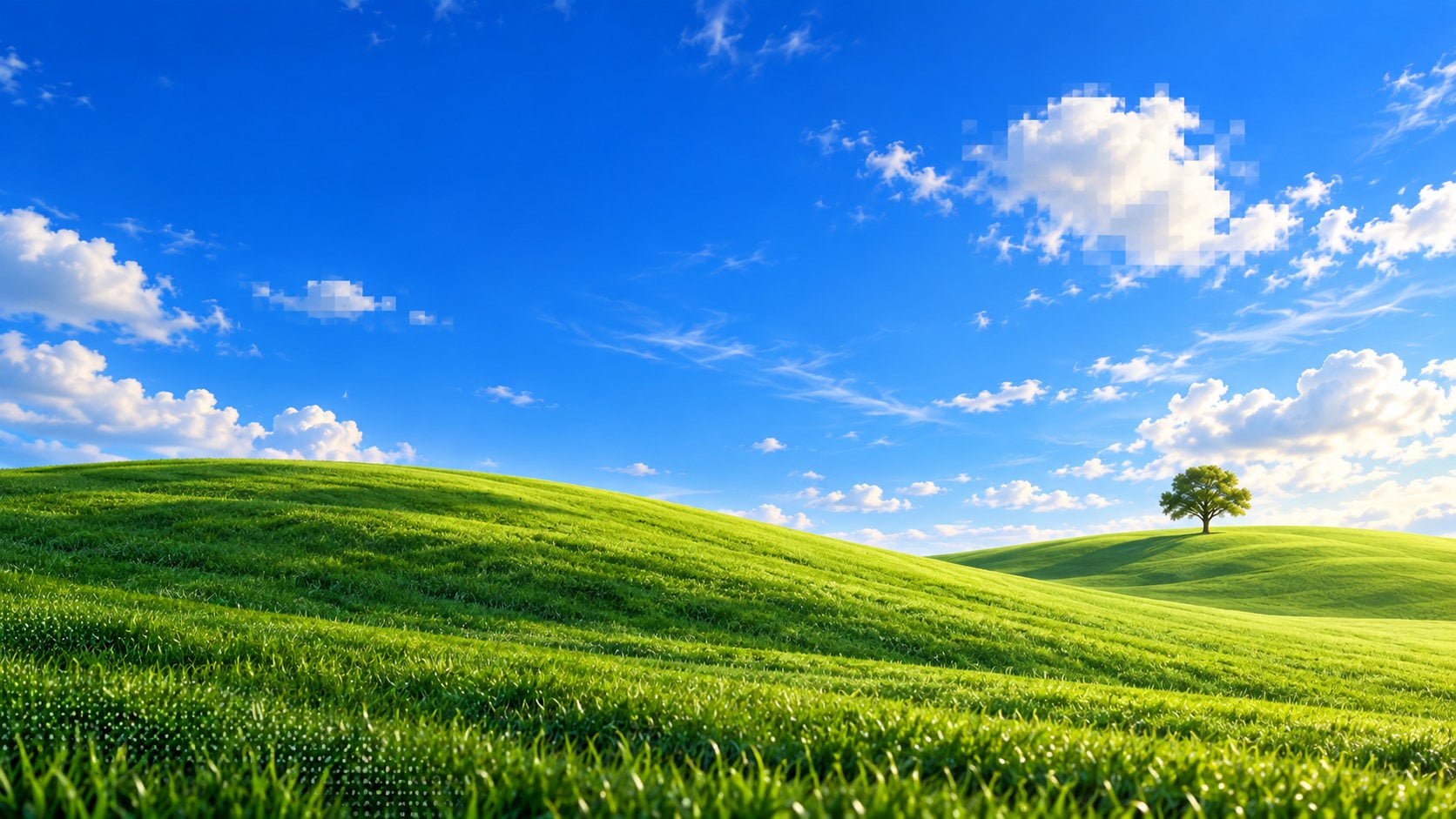 CompassMSP desktop backgrond meadow.